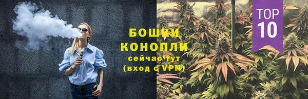 PSILOCYBIN Волосово